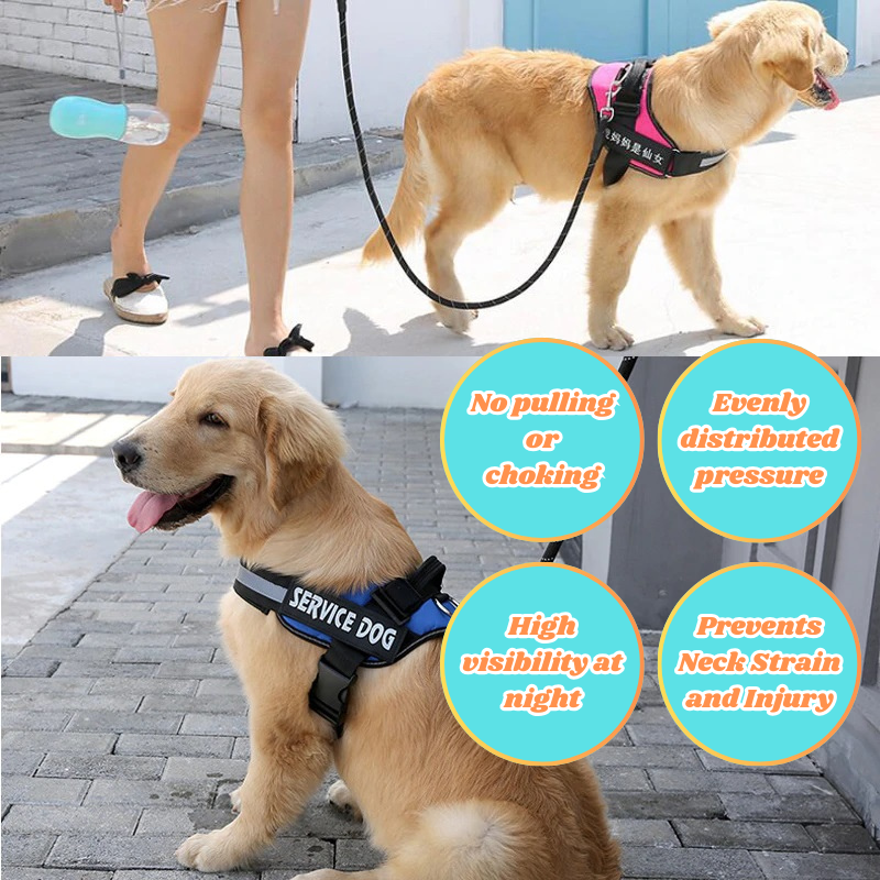 Customisable No Pull Dog Harness
